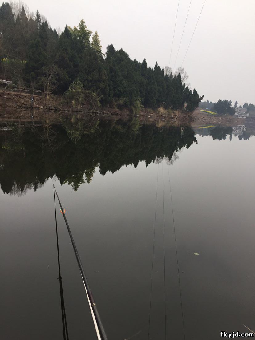 疫去春来:踏青寻鱼 水库钓鲫记