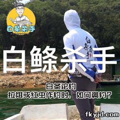 白条论钓 拉饵或红虫作钓时，如何调钓？