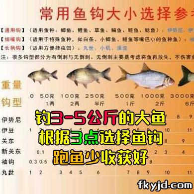 钓3-5公斤的大鱼，根据3点选择鱼钩，跑鱼少收获好