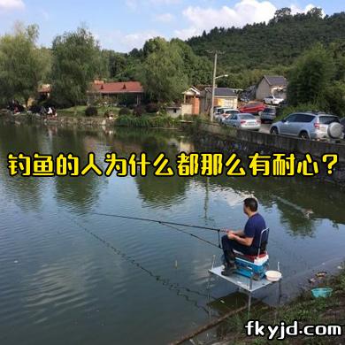 钓鱼的人为什么都那么有耐心？