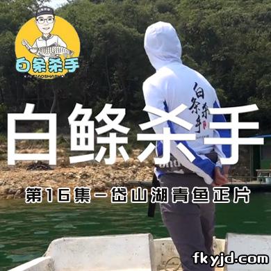 白条杀手 第16集-岱山湖青鱼正片