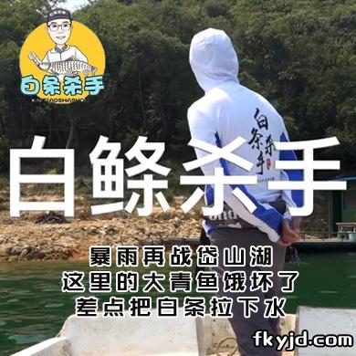 白条杀手 暴雨再战岱山湖，这里的大青鱼饿坏了，差点把白条拉下水