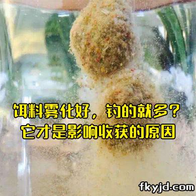 饵料雾化好，钓的就多？它才是影响收获的原因