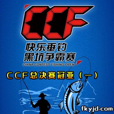 快乐垂钓钓鱼公开赛 CCF总决赛冠亚（一）