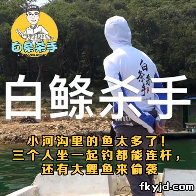 白条杀手 小河沟里的鱼太多了！三个人坐一起钓都能连杆，还有大鲤鱼来偷袭