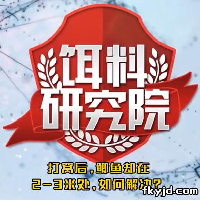 饵料研究院:打窝后，鲫鱼却在2-3米处,如何解决？