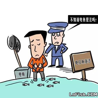 憎恨破坏生态平衡的捕鱼方法！