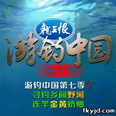 游钓中国第七季第7集 寻钓乡间野河 连竿金黄奶鲫