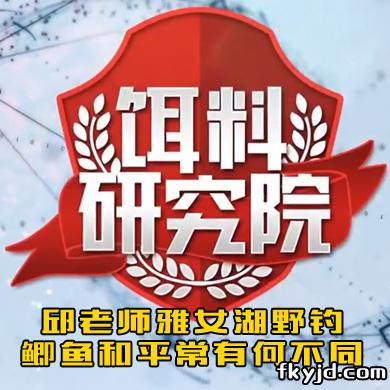 饵料研究院：邱老师雅女湖野钓鲫鱼和平常有何不同