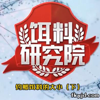 饵料研究院：钓鲫饵料的大小（下）