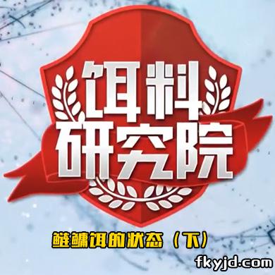 饵料研究院：鲢鳙饵的状态（下）