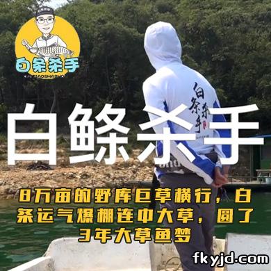 白条杀手 8万亩的野库巨草横行，白条运气爆棚连中大草，圆了3年大草鱼梦