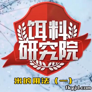 饵料研究院：米的用法（一）