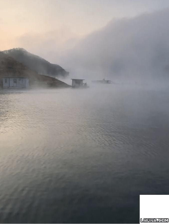 水丰湖封杆行动，第一天空军第二天爆连鲫鱼鲤鱼，大鲫大鲤！ 