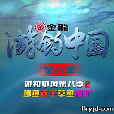 游钓中国第八季 第2集 鲫鱼连竿草鱼爆护