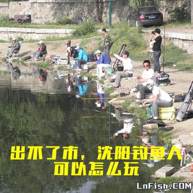 出不了市，沈阳钓鱼人可以怎么玩