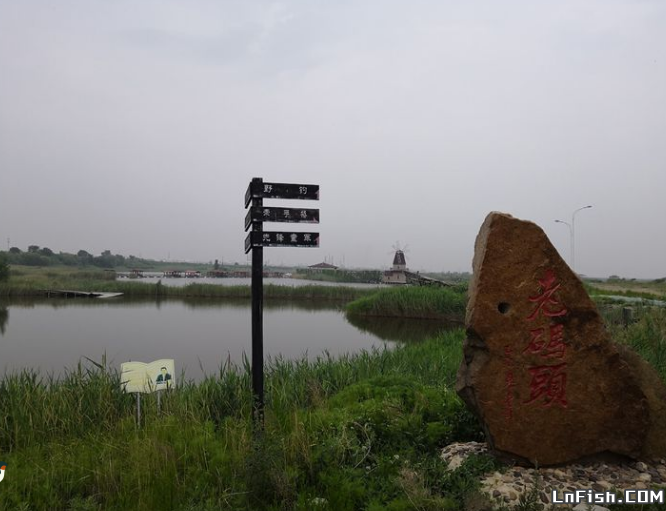 辽宁盘锦饶阳湾野钓区垂钓攻略