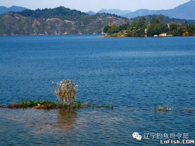 沈阳浑河现在水质如何？野钓鲫鱼多大？重金属超标不？