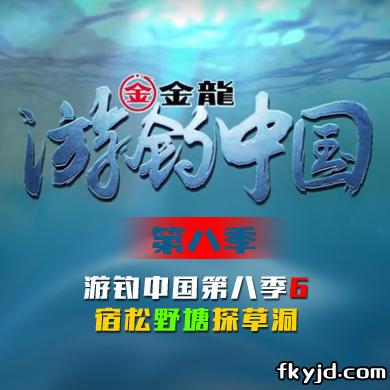 游钓中国第八季 第6集 宿松野塘探草洞