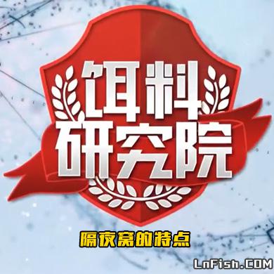 饵料研究院：隔夜窝的特点