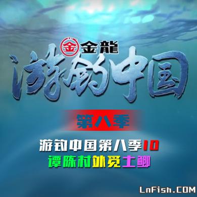 游钓中国 第八季 第10集 谭陈村外觅土鲫