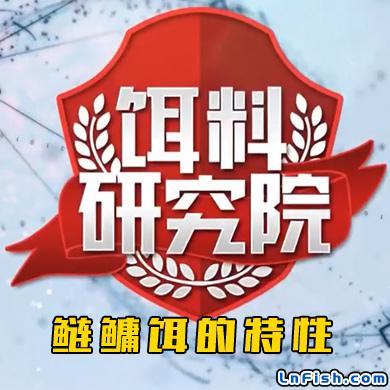 饵料研究院：鲢鳙饵的特性
