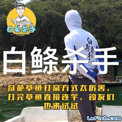 白条杀手 奇葩草鱼打窝方式太厉害，打完草鱼直接连竿，钓友们也来试试