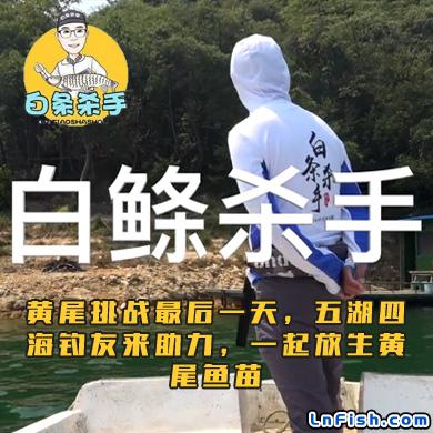 白条杀手 黄尾挑战最后一天，五湖四海钓友来助力，一起放生黄尾鱼苗