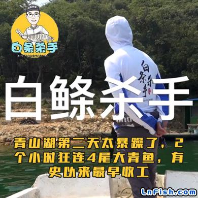 白条杀手 青山湖第二天太暴躁了，2个小时狂连4尾大青鱼，有史以来最早收工