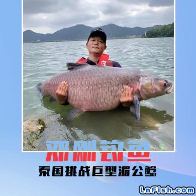邓刚钓鱼 泰国挑战巨型湄公鲶