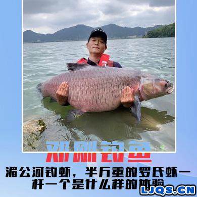 邓刚钓鱼 湄公河钓虾，半斤重的罗氏虾一杆一个是什么样的体验