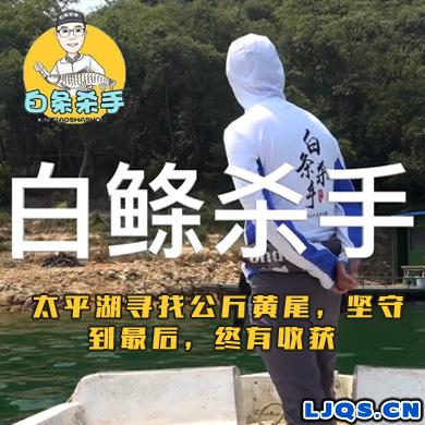 白条杀手 太平湖寻找公斤黄尾，坚守到最后，终有收获