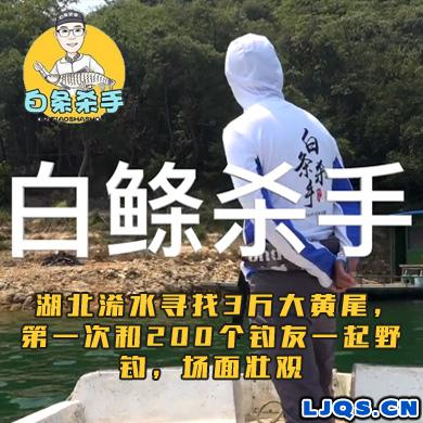 白条杀手 湖北浠水寻找3斤大黄尾，第一次和200个钓友一起野钓，场面壮观