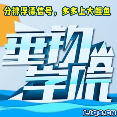 《垂钓学院》分辨浮漂信号，多多上大鲤鱼