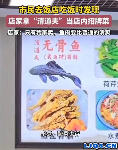 “清道夫”在广东成了美食！餐馆老板：每天要做几十桌